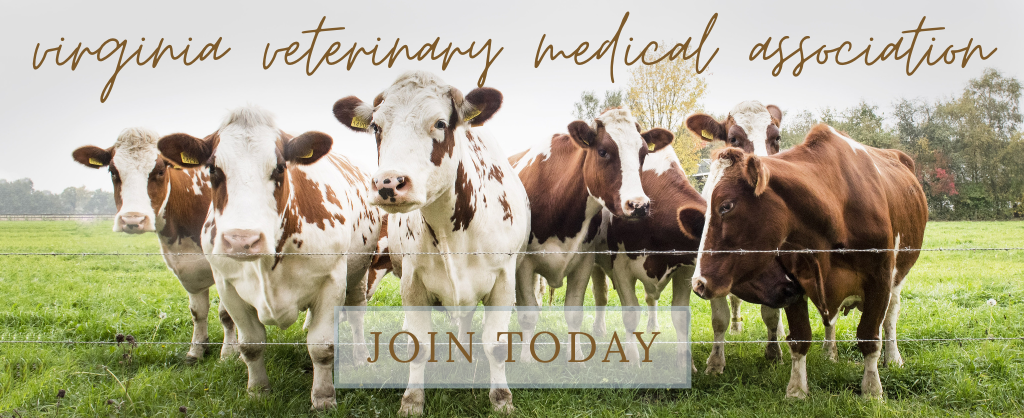 join virginia veterinary medical association